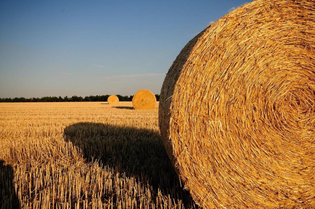 Transwest Teams with Run Amok Transport to Haul Emergency Hay to Texas