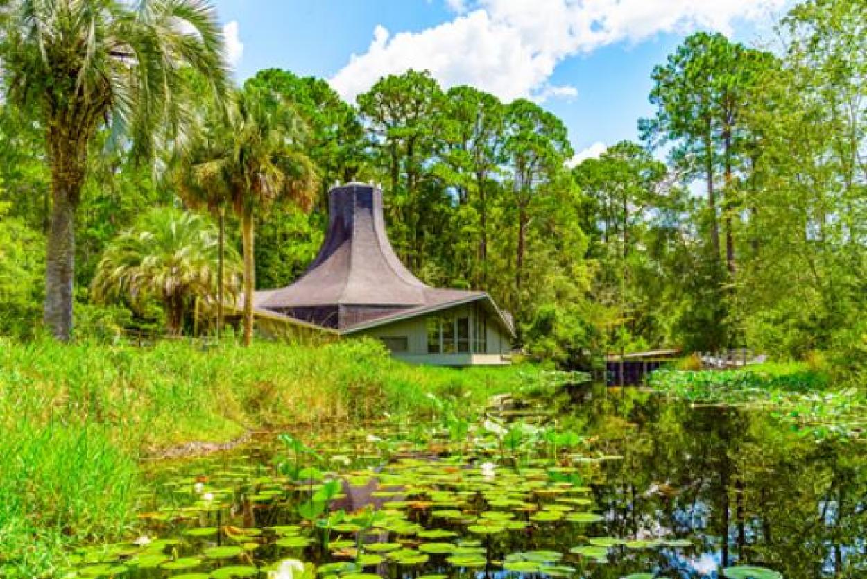 Visitor's Center in the Okefenokee Swamp