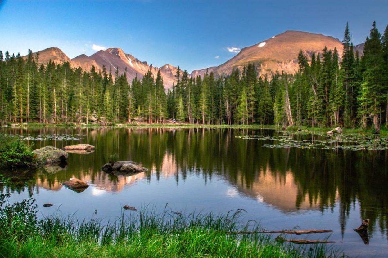 Picturesque lake with pine trees and mountains in the distance under a blue sky in Estes Park, CO