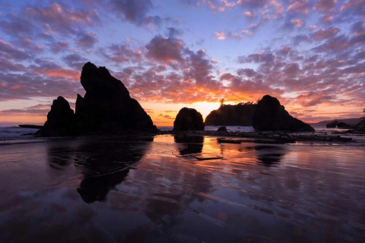 Sunset over the ocean at Olympic National Park