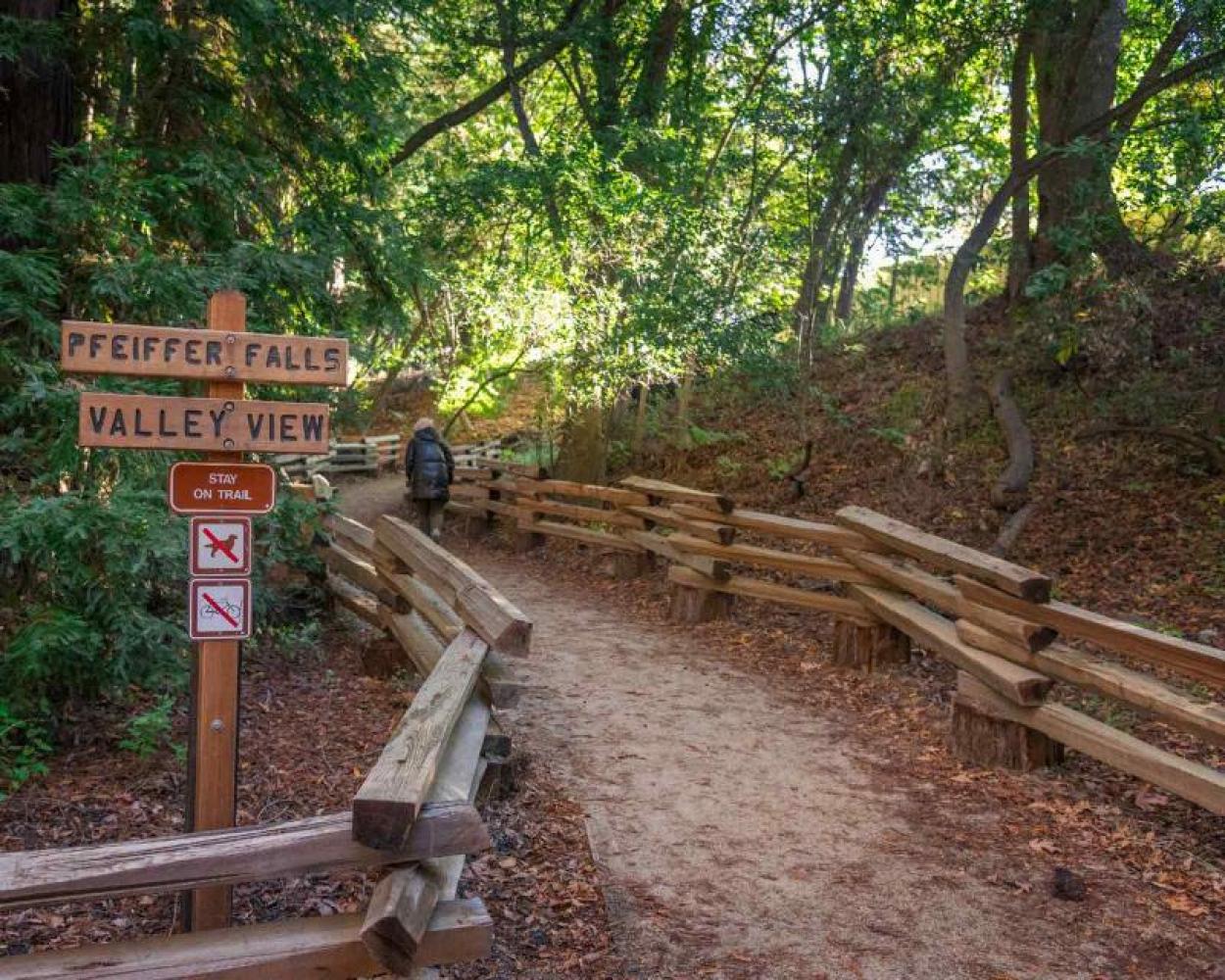 Trailhead at Pfeiffer Big Sur State Park