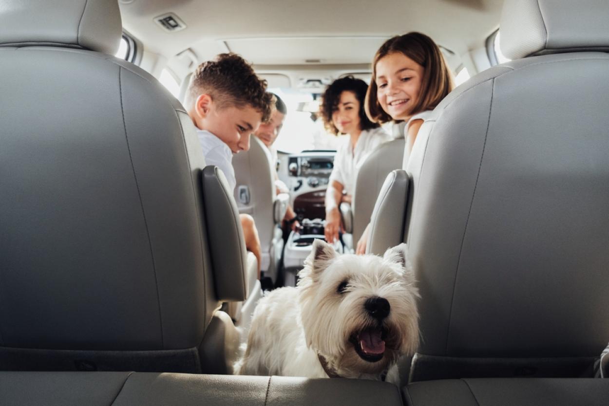 Family with a dog inside a vehicle