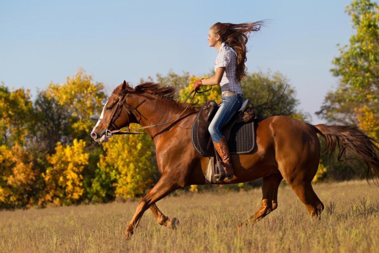 Beautiful woman riding a horse at sunset