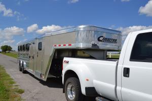 Gooseneck cattle trailer