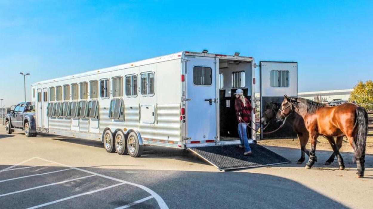 Mustang Maddy - Transwest Truck Trailer RV