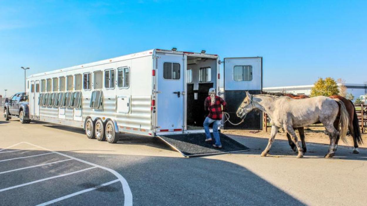 Mustang Maddy - Transwest Truck Trailer RV