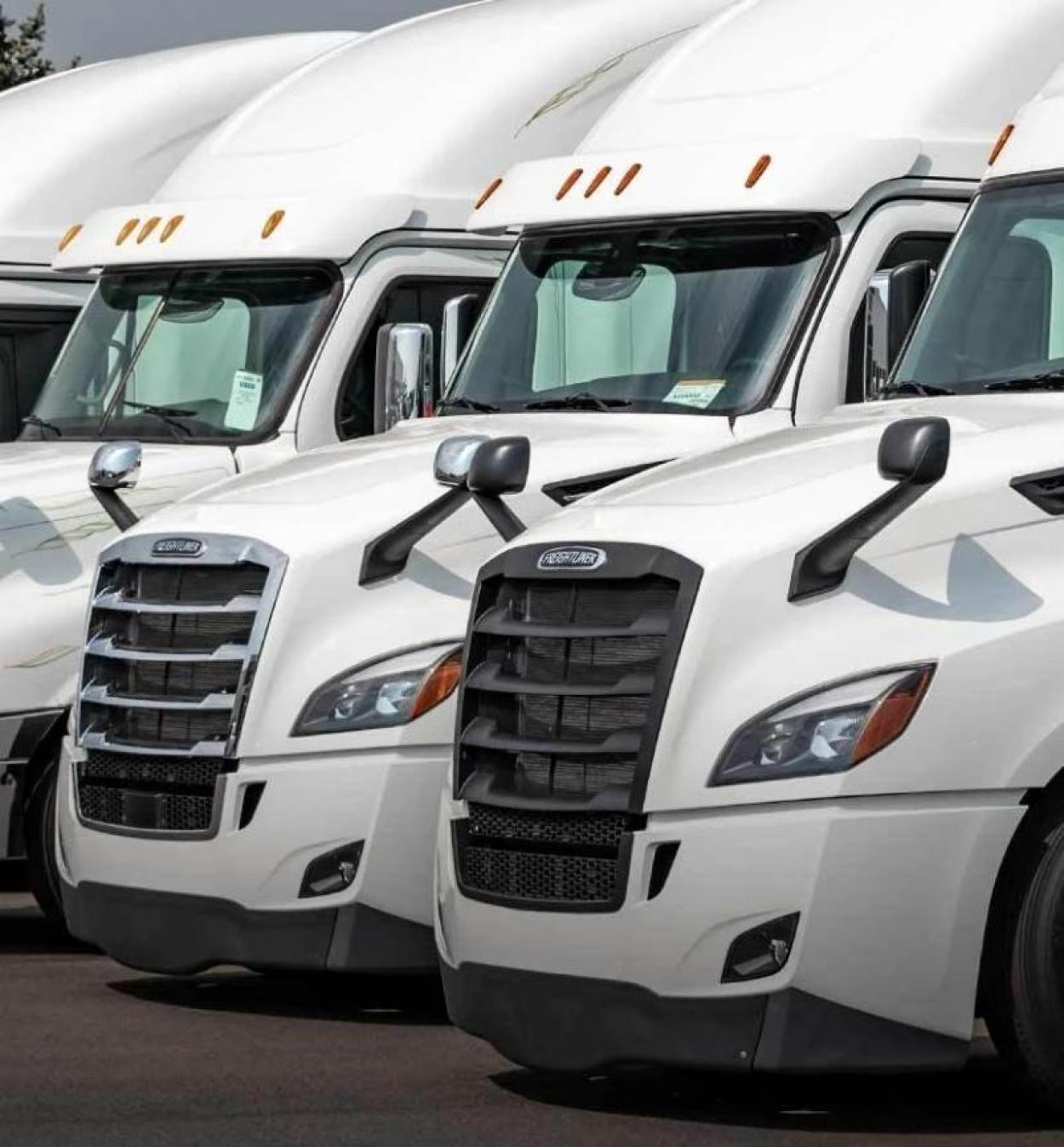 Row of commercial trucks in a parking lot